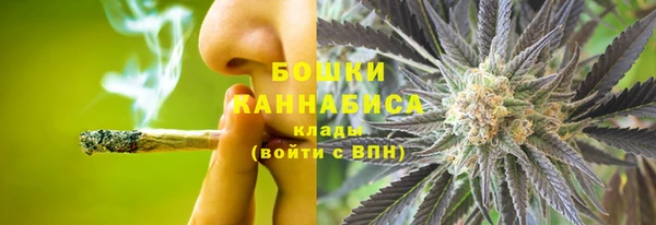 ECSTASY Белокуриха