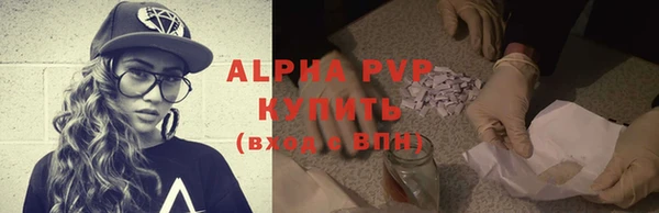 ECSTASY Белокуриха