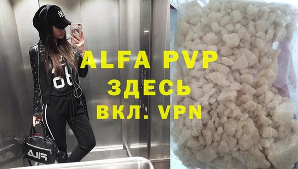 ECSTASY Белокуриха