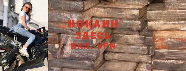 СК Тайга