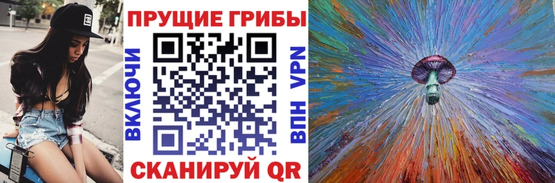 Псилоцибиновые грибы Magic Shrooms Гай