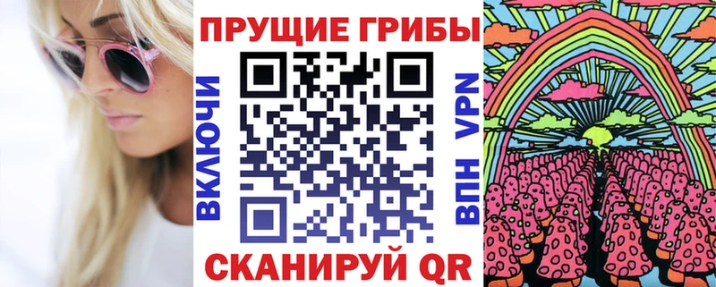 Псилоцибиновые грибы Psilocybe KRAKEN зеркало Гай