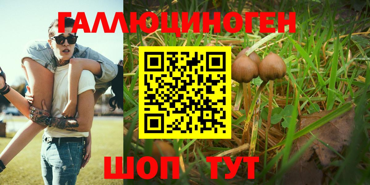 Галлюциногенные грибы Psilocybine cubensis Гай